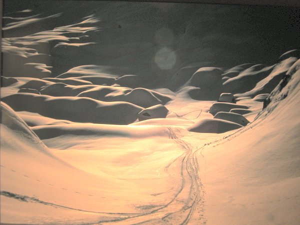 HauteSavoie/Flaine/z old 19900224-16/Dscn0629g.jpg